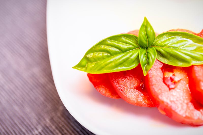 Bruschetta with tomatoes and basil